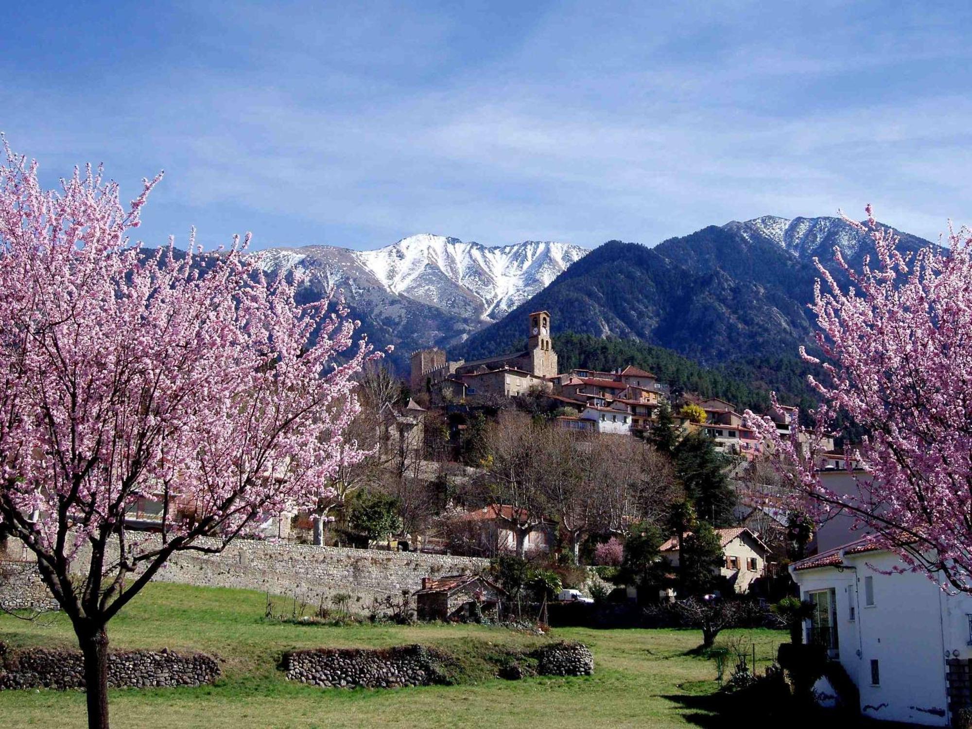 Hotel Les Sources Vernet-les-Bains Esterno foto